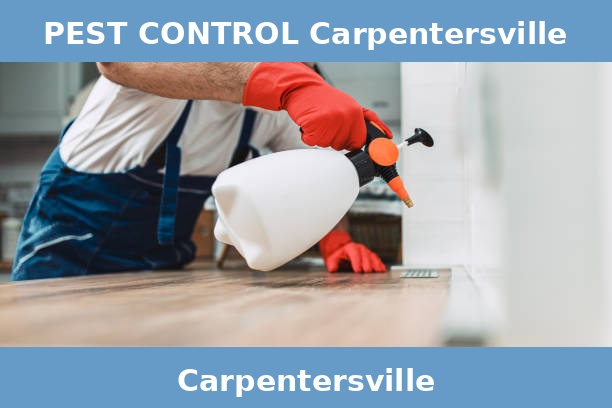 PEST CONTROL Carpentersville